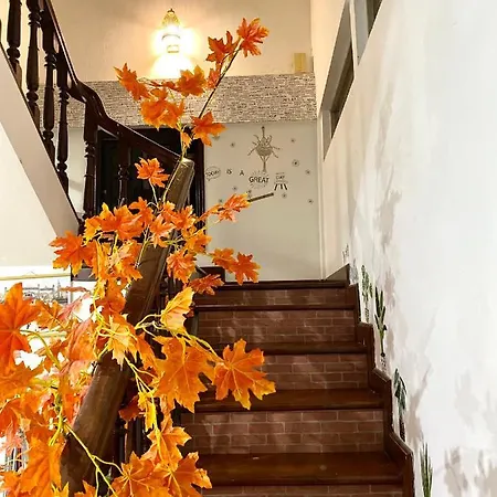 Tabi Homestay Hue Exterior photo